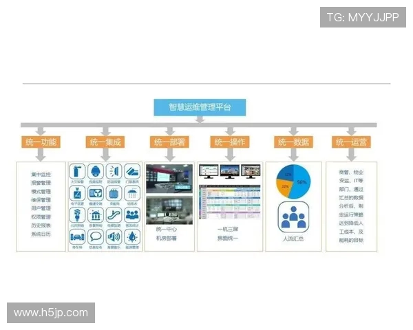 体育场馆智能化系统的年度代维费用